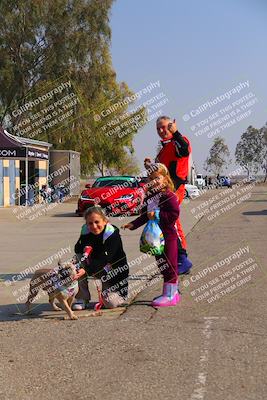 media/Nov-12-2022-GTA Finals Buttonwillow (Sat) [[f6daed5954]]/Around the Pits/